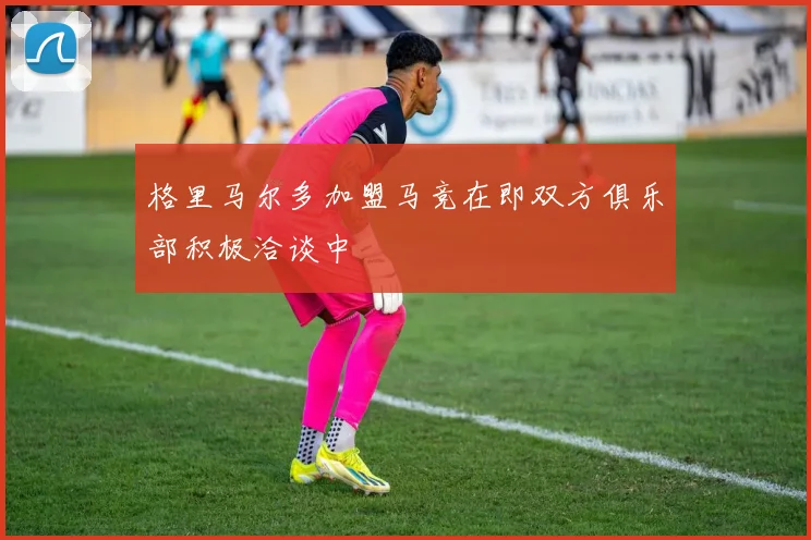 格里马尔多加盟马竞在即双方俱乐部积极洽谈中